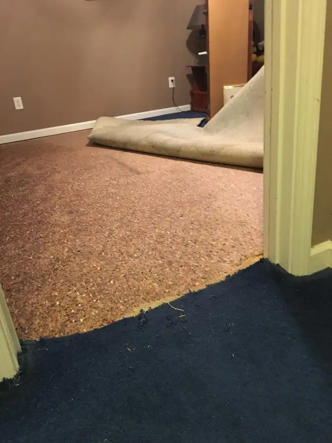 Carpet pad removal revealing water damage during Drying & Dehumidification in Lake Stevens