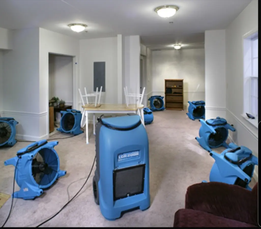 Air movers and dehumidifier setup for Water Extraction & Removal in Lake Stevens